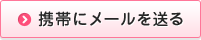 携帯にメールを送る